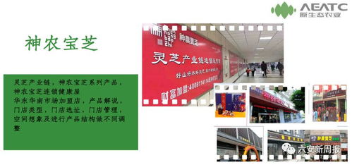 上市敲钟 明天,六安这家公司成功登录香港otc市场