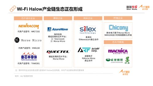百家企业逐鹿Wi-Fi赛道 市场格局解析与经营策略前瞻
